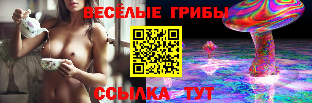 Псилоцибиновые грибы мухоморы  Псилоцибиновые грибы Magic Shrooms  Вход с VPN  Фролово 